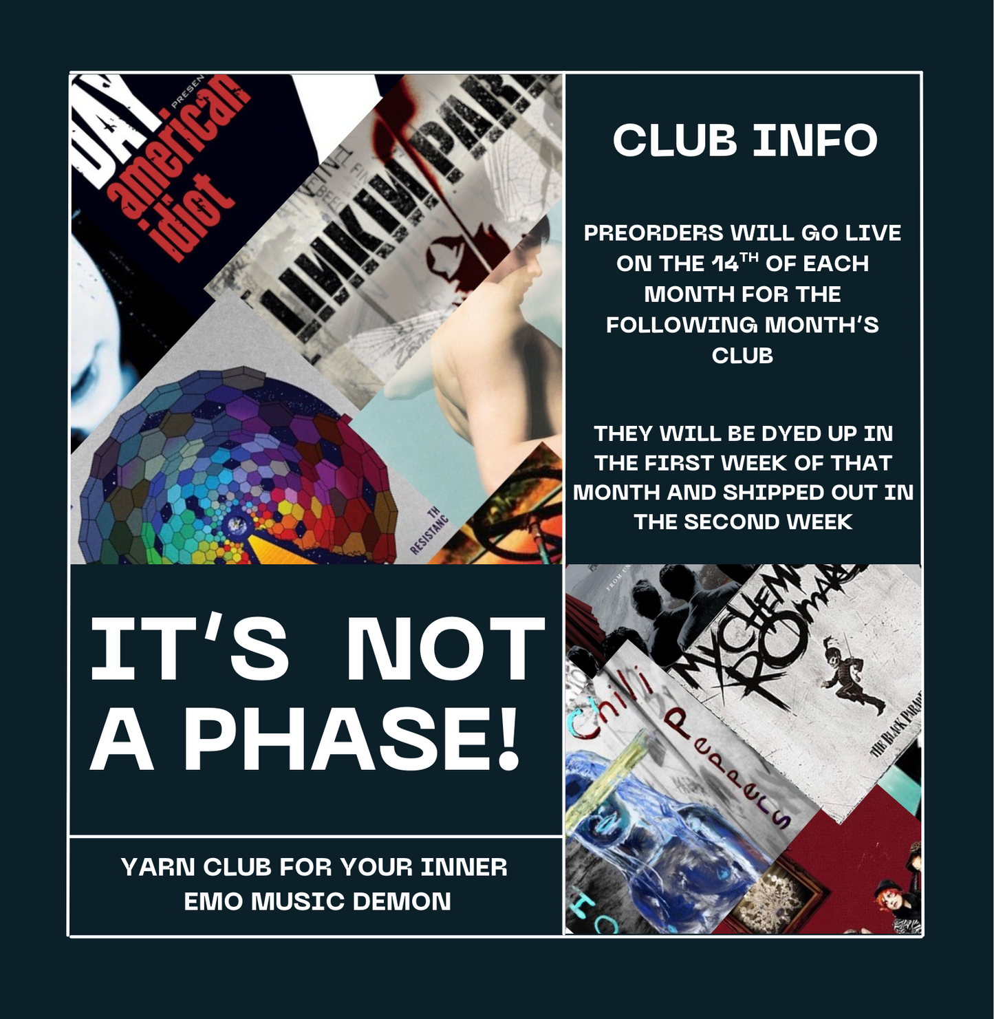 It’s Not a Phase! - February 2026 Yarn Club Paramore
